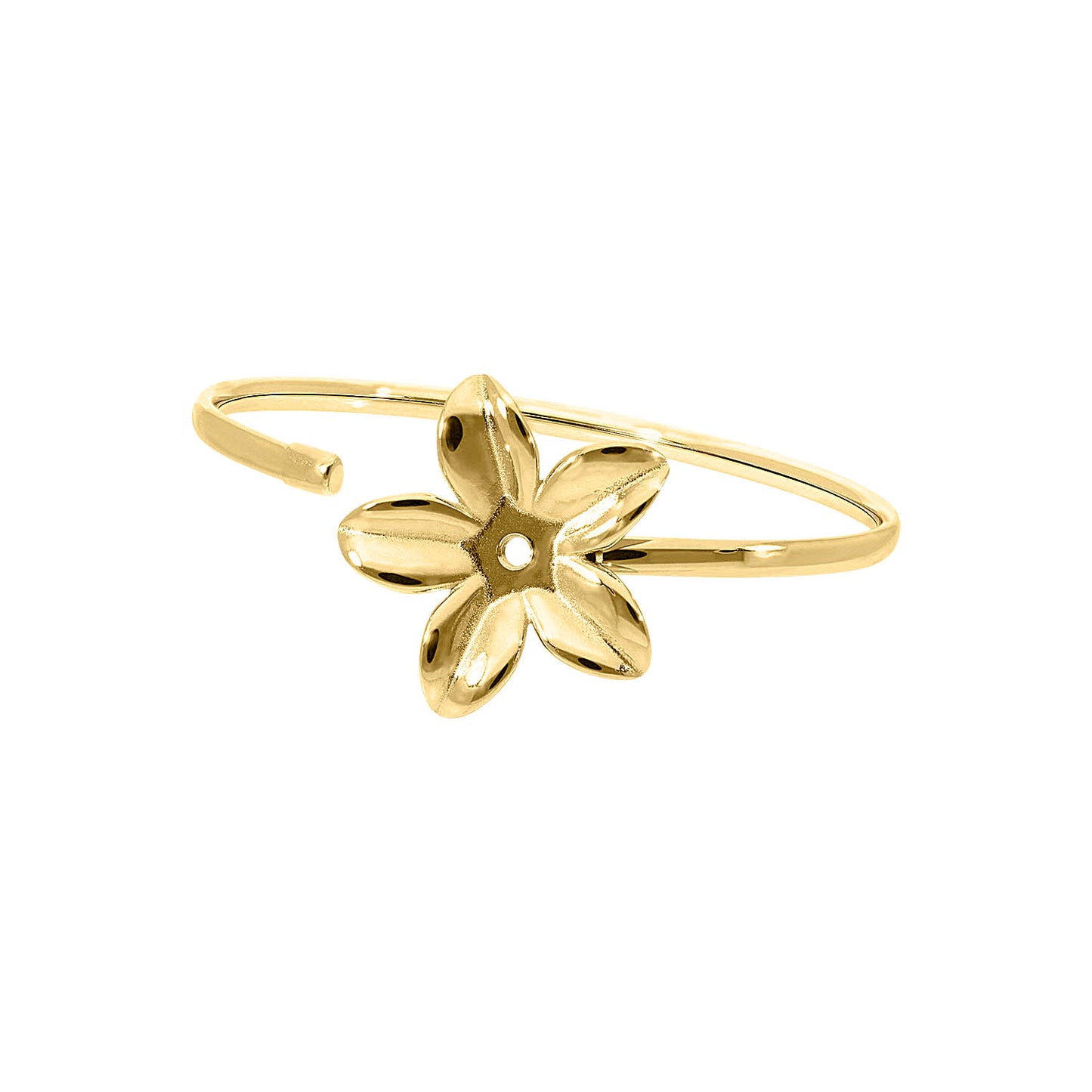 Pesce Bangles