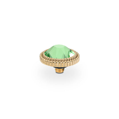 Ring Starter Pack - Gold