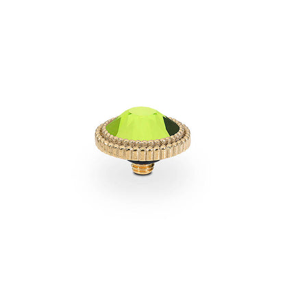 Ring Starter Pack - Gold