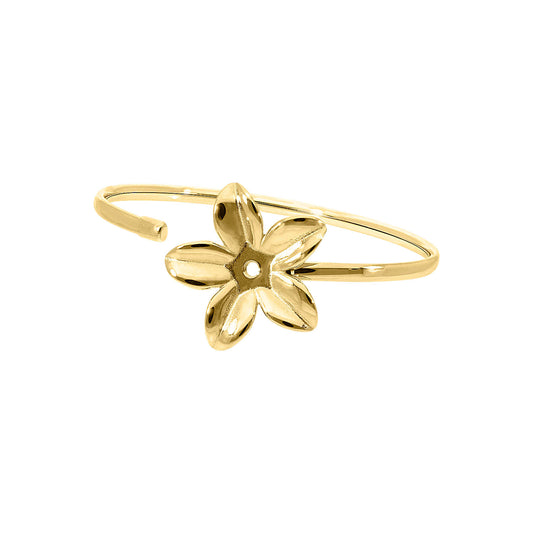 Pesce Bangles