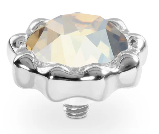 Organico Top in Silver
