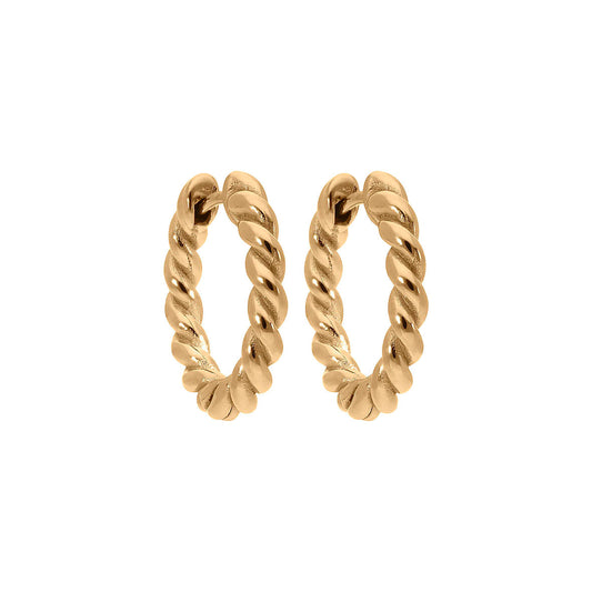 Canetra Hoops
